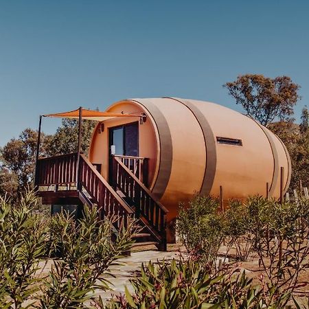 Hotel Finca El Mirador Valle de Guadalupe Zewnętrze zdjęcie