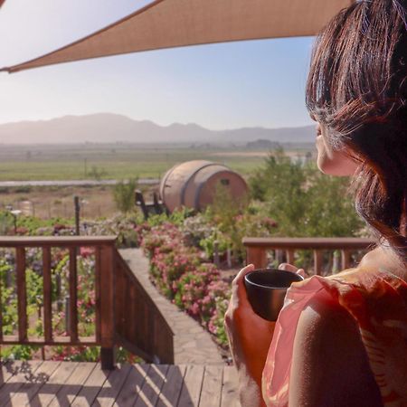 Finca El Mirador Valle de Guadalupe Zewnętrze zdjęcie