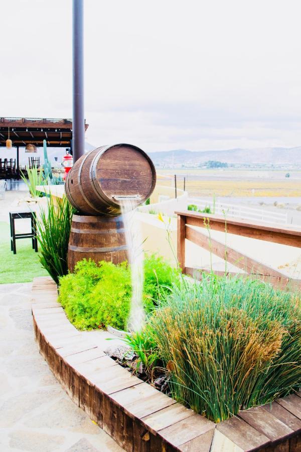 Finca El Mirador Valle de Guadalupe Zewnętrze zdjęcie