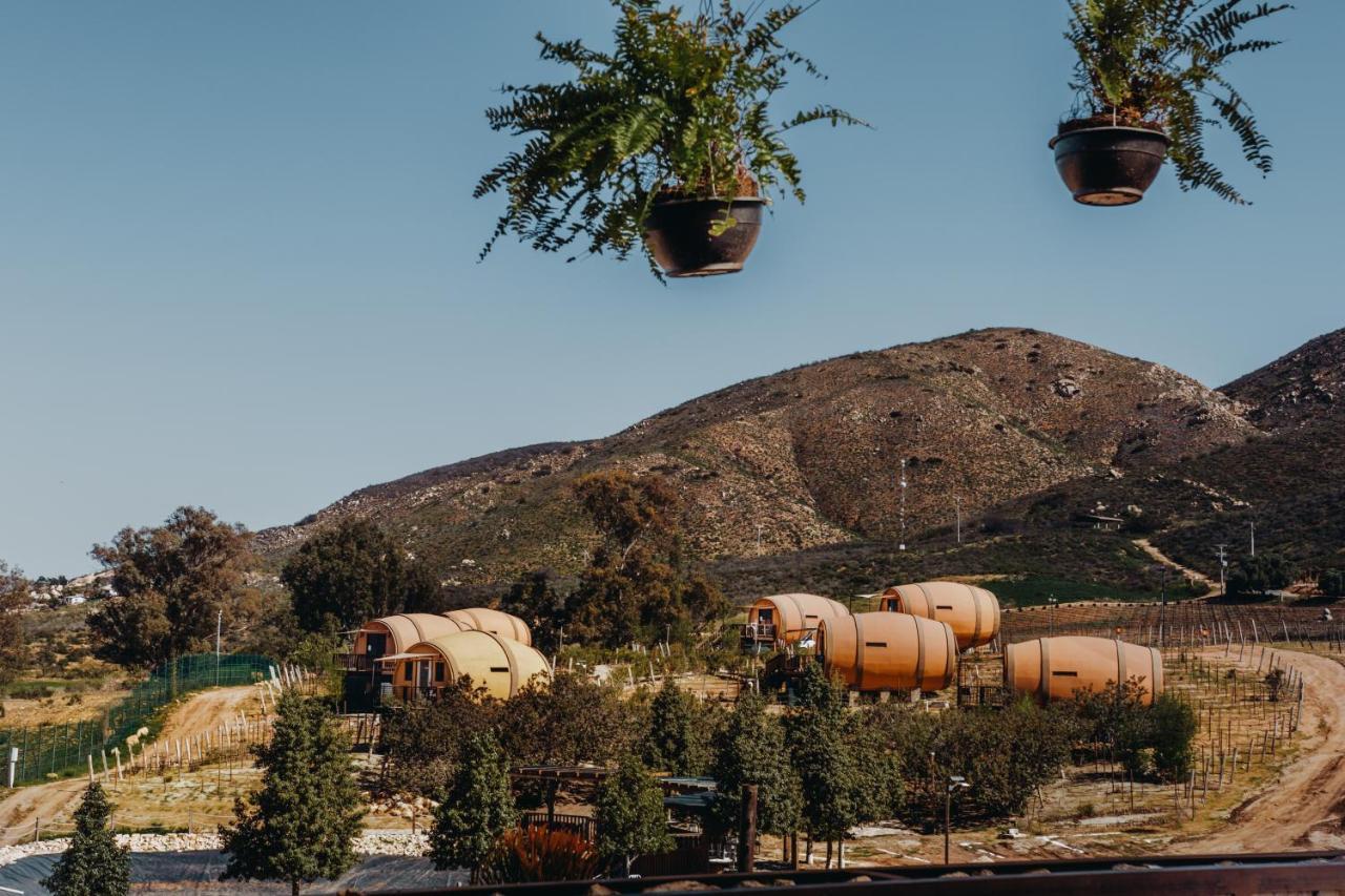 Hotel Finca El Mirador Valle de Guadalupe Zewnętrze zdjęcie