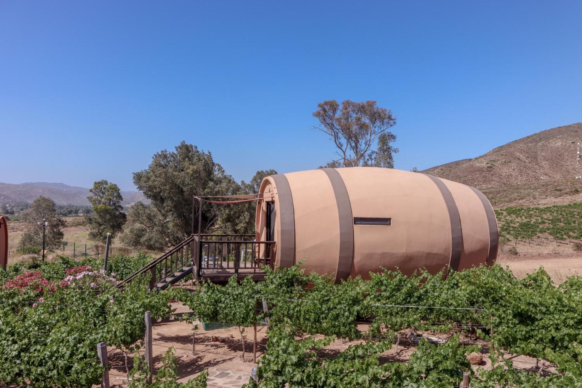 Finca El Mirador Valle de Guadalupe Zewnętrze zdjęcie