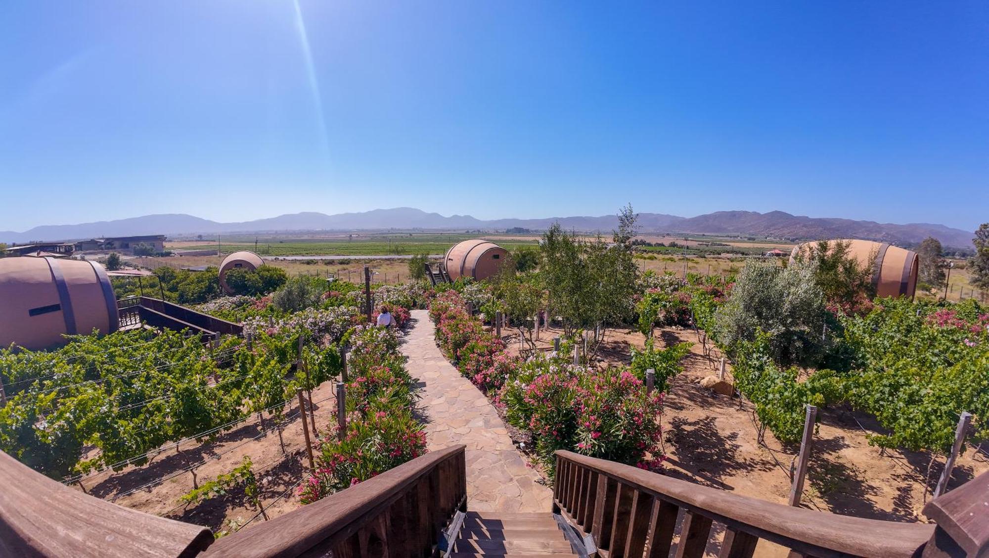 Finca El Mirador Valle de Guadalupe Zewnętrze zdjęcie