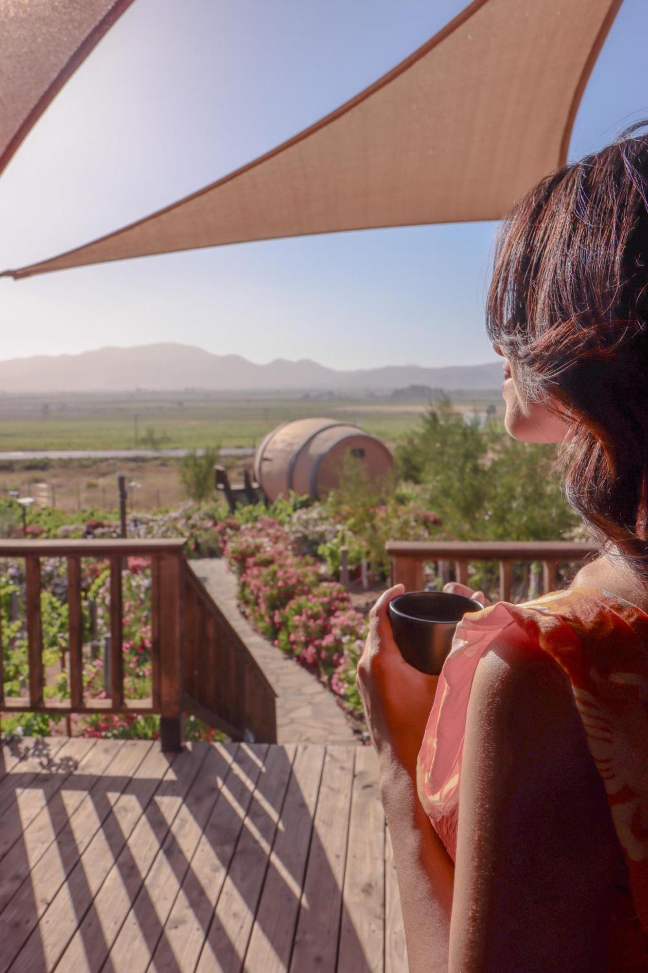 Finca El Mirador Valle de Guadalupe Zewnętrze zdjęcie
